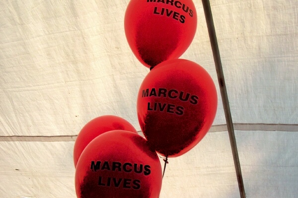 Marcus Cassel, photo 26 of 35